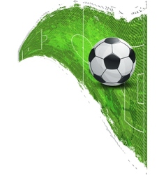 Soccer Ball on the football field vector image