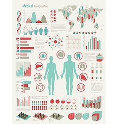 Infomedical vector image