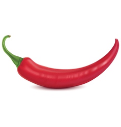 Chilli vector image