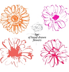 Flowers vector image