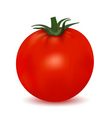 Tomato isolated on white background vector image