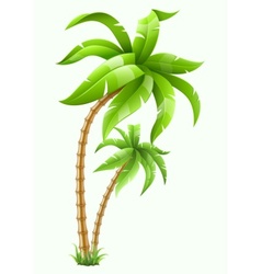 Tropical palm trees vector image