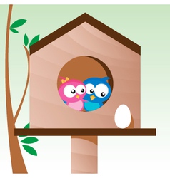 Birds in love vector image