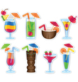 Tropical drinks vector image