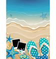 Wave shalls and photo vector image