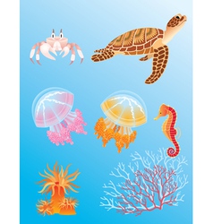 Sea animals vector image