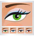 Woman eyes of different colors vector image
