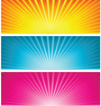 Cultured starbursts vector image