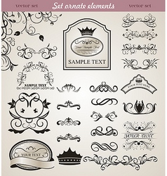 Floral design elements vector image