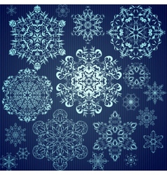 Set of calligraphic floral branches vector image