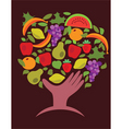 Food and vegetables vector image