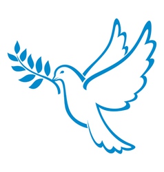 Peace Dove vector image