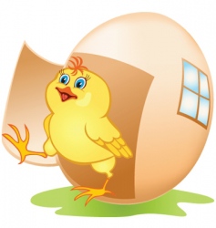 Cartoon chicken and egg vector image