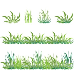 Set of green grass vector image