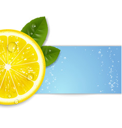 Fresh lemon Fresh lemon vector image