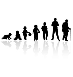 Age evolution silhouettes vector image