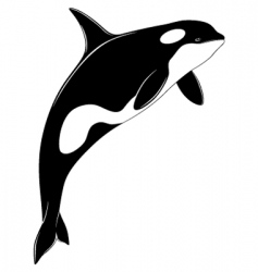 Killer whale tattoo vector image