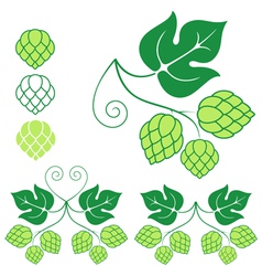 Hop vector image
