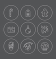 Xmas Icons vector image