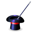 Conjurer hat and magic wand vector image