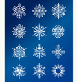 Christmas snowflakes design vector image