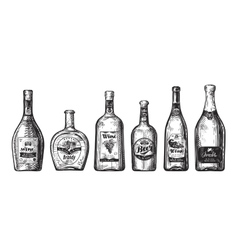 Hand-drawn set bottles for bar Alcoholic Hand-drawn set bottles for bar Alcoholic vector image