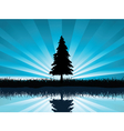 Solitary fir tree vector image