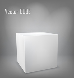White cube on gray background vector image