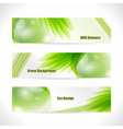 Banner vector image