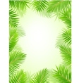 Palm leaf background vector image