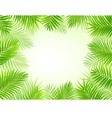 Palm leaf background vector image