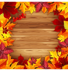 Autumn background vector image