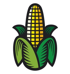 Corn vector image