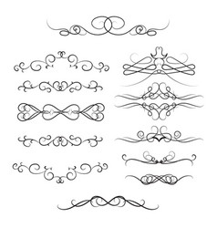 Vintage calligraphic vignettes and dividers set Vintage calligraphic vignettes and dividers set vector image