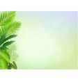 Nature background vector image