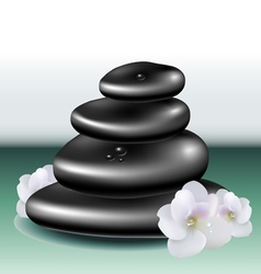 Spa stone set with white flower vector image