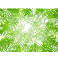 Palm leaf background vector image