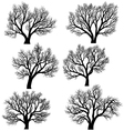 Silhouettes of trees without leaves vector image