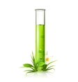 Test tube vector image