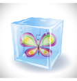 Ice cube with butterfly vector image
