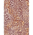 Seamless classic leopard texture pattern Seamless classic leopard texture pattern vector image