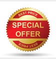 Special offer vector image