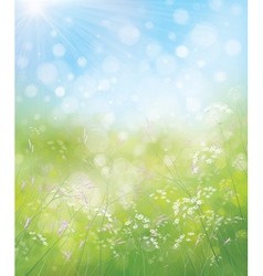 Spring flowers sky Royalty Free Vector Image - VectorStock