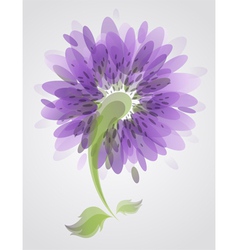 Abstract purple flower vector image