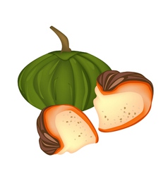 Delicious Egg Custard with Pumpkin vector image