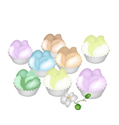 Culorful Thai Steamed Cupcake on White Background vector image