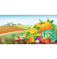 Landscape with a group of vegetables vector image