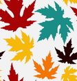 Seamless pattern with maple leaves vector image