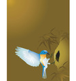 Weaver bird vector image
