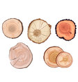 Tree Rings Tree Rings vector image